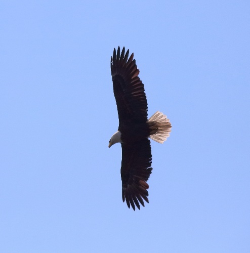2019 05 08 HTP 90366e